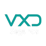 VXD logo2